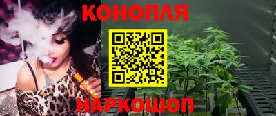 индика Пугачёв