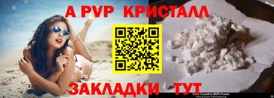 индика Пугачёв