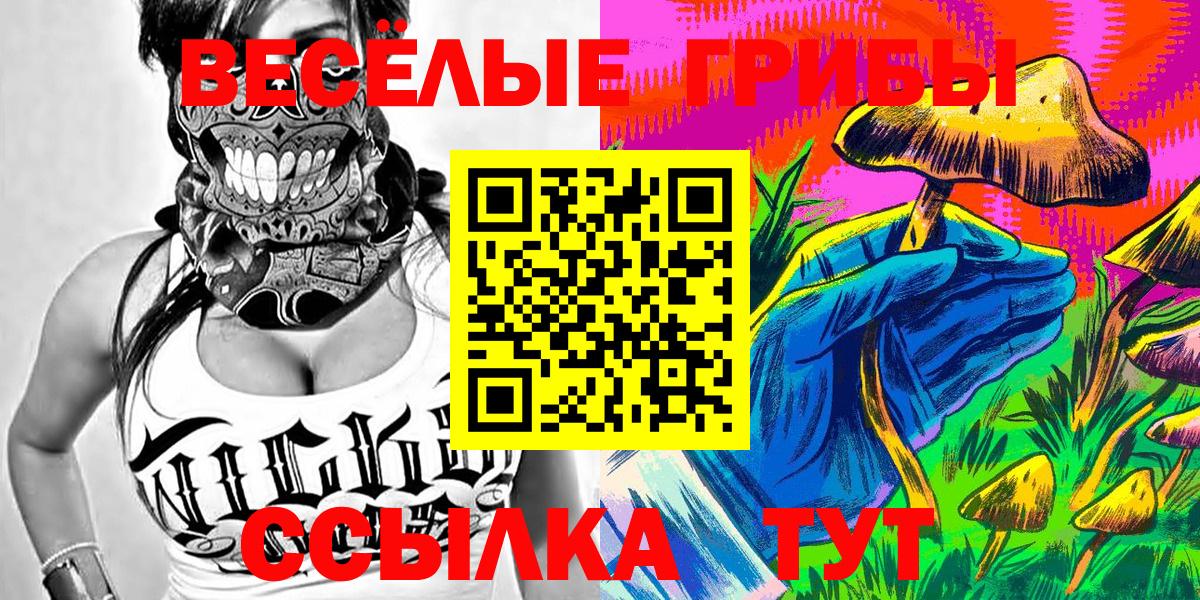 где продают наркотики  Галлюциногенные грибы прущие грибы  Вход с VPN  Арзамас 