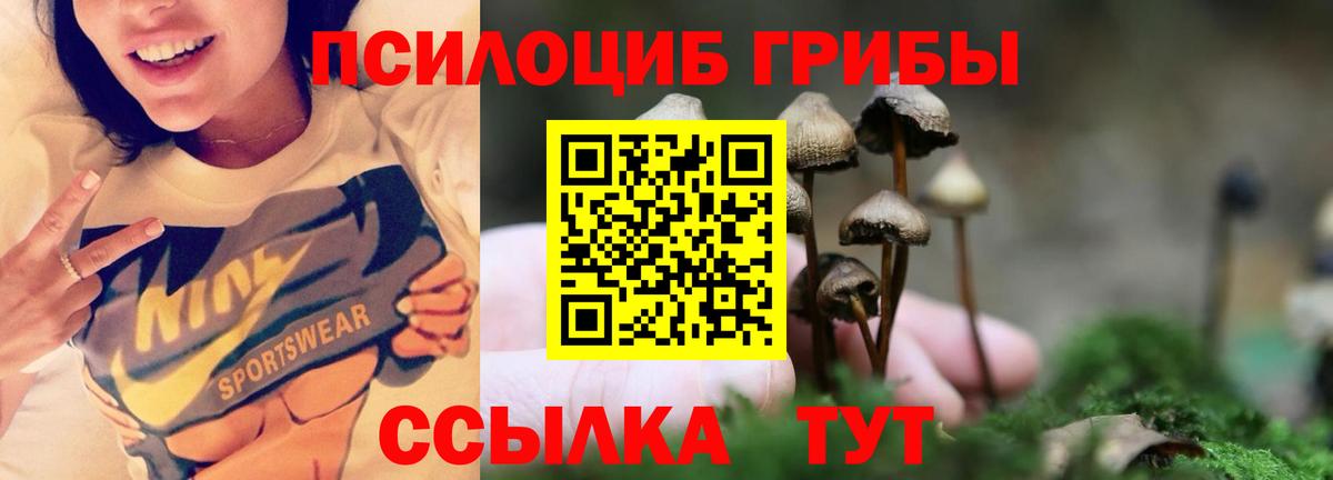 Галлюциногенные грибы ЛСД Арзамас